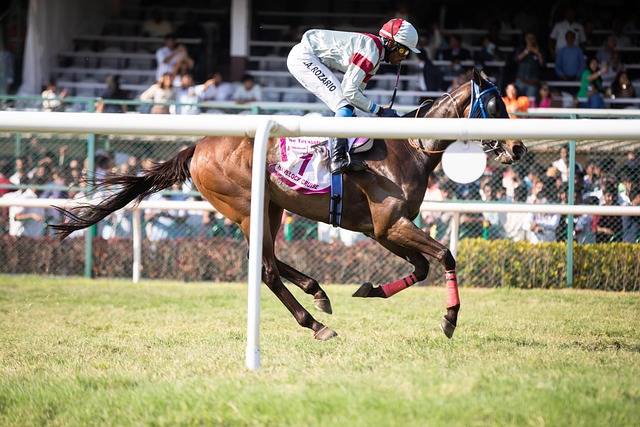 勒沃库森豪掷1亿欧元引援，今夏转会收入或达2.5亿欧元.